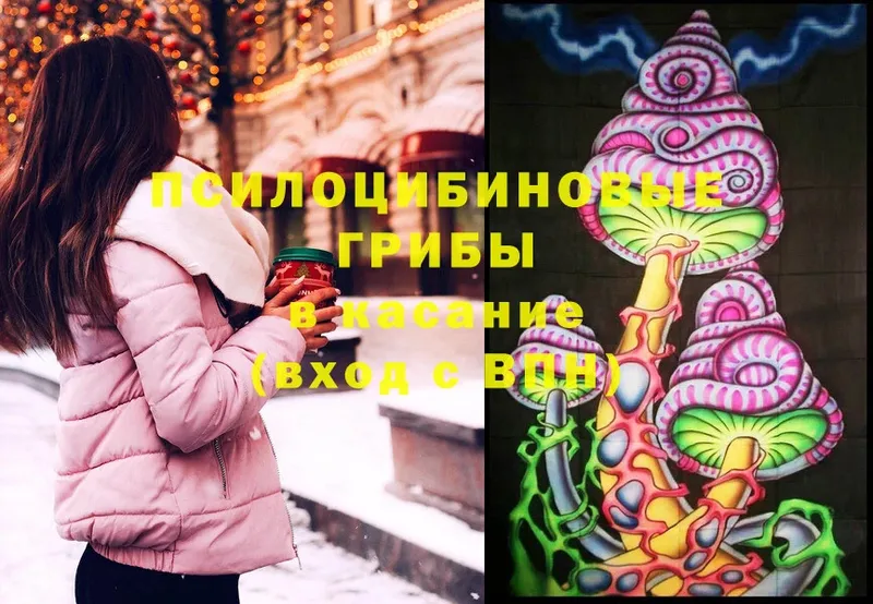 omg как войти  Сорск  Псилоцибиновые грибы MAGIC MUSHROOMS 